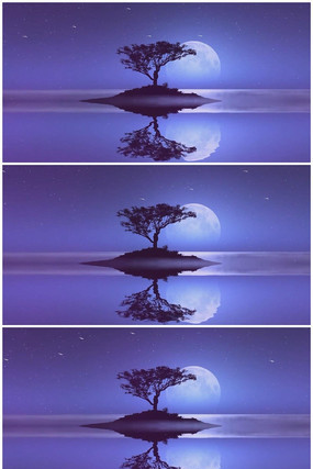 Ψ��Բ����Ƶ���� mov