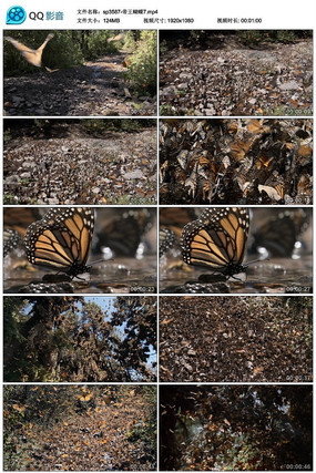 СϪ�ߵĺ���