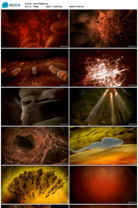 ҽѧ��������ϸ��������Ƶ