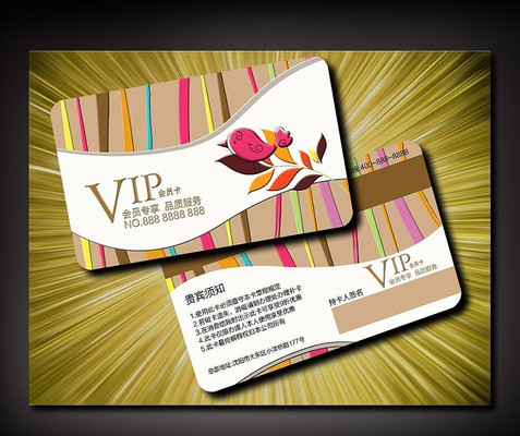 ʱ�пɰ�С��VIP����� PSD