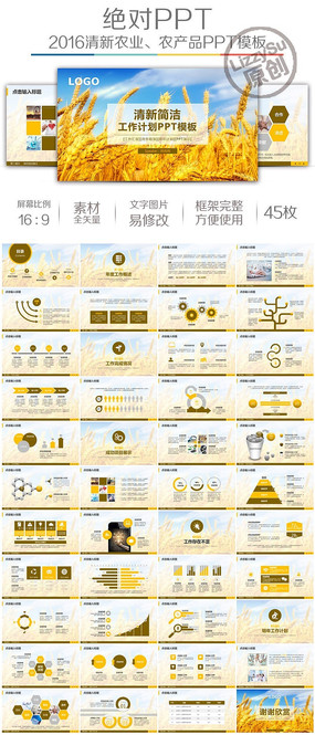 ũҵ�����ƻ�pptģ��