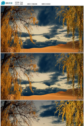 ɳĮ�����ز�