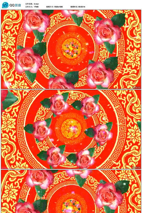  ��ת�Ŵ��õ�廨��Ƶ