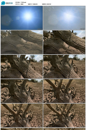 �ɺ�����Ƶ�ز�