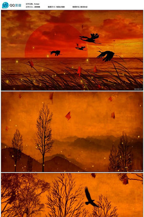 �������ֳ�Ʒ���ߵ�̫����Ƶ�ز�