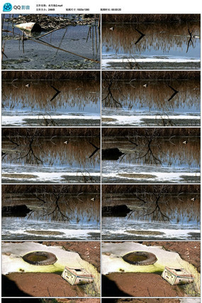 ����ˮ��Ⱦ��Ƶ�ز�