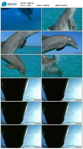 ��������Ծ��д��Ƶ�ز�