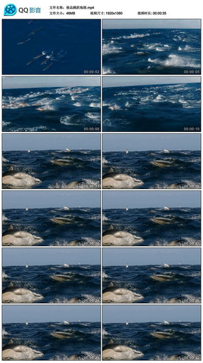 ��Ʒ��Ծ������Ƶ�ز�