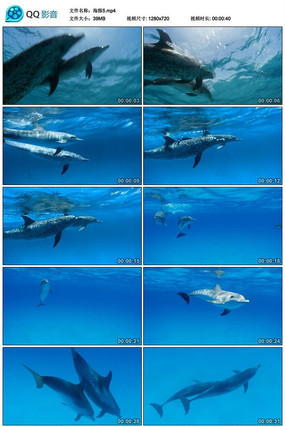 ��������������Ƶ�ز�