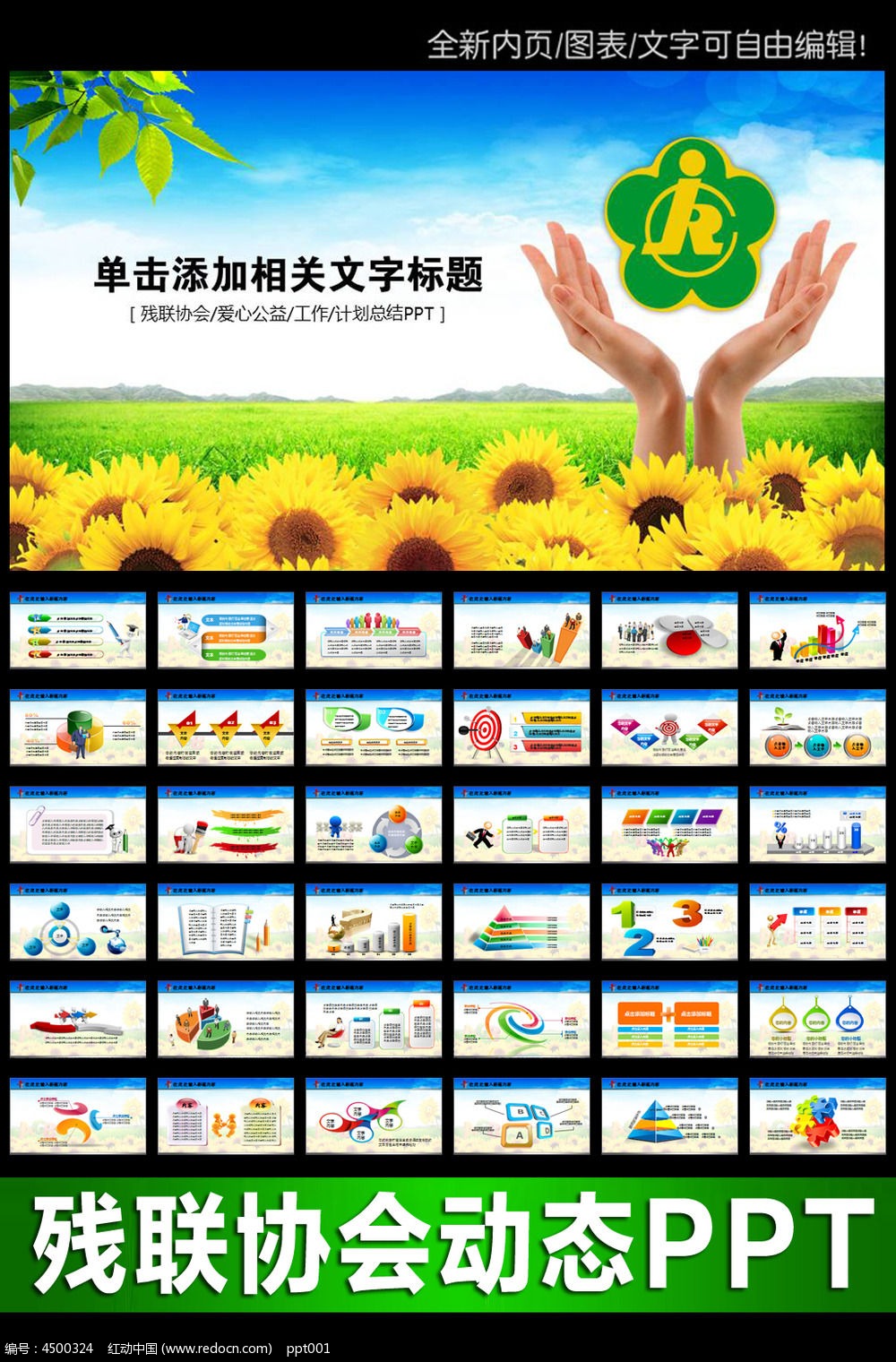 ��ɫ�����ղ���Э�Ṥ���ƻ�PPT