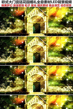 ��͢������Ƶ