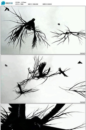 ���崴����֦��ѻ��Ƶ mov