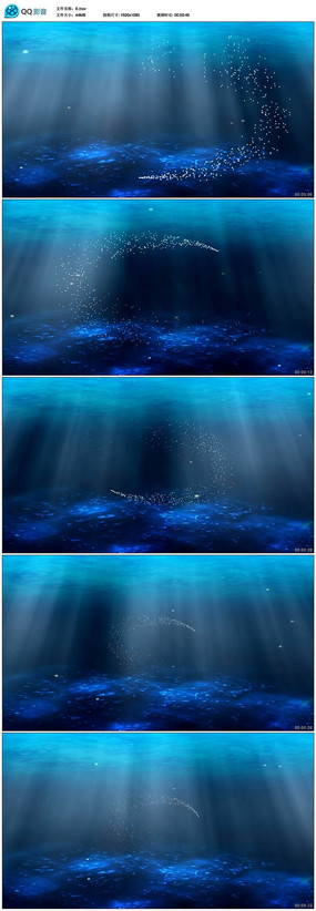  �������������Ƶ�ز�