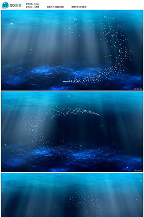  �������������Ƶ�ز�