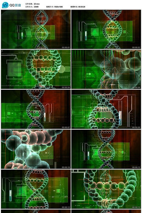 ϸ����Ƶ�ز�