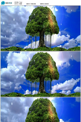 ��������µ�������Ƶ