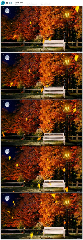 ������Ҷ��԰·����Ƶ�ز�