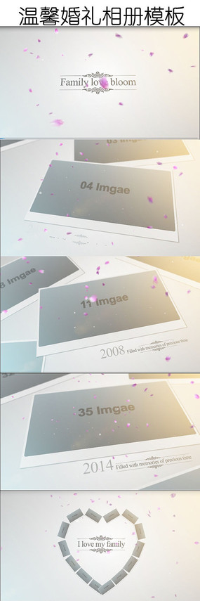 ������ܰ���������Ƶģ��