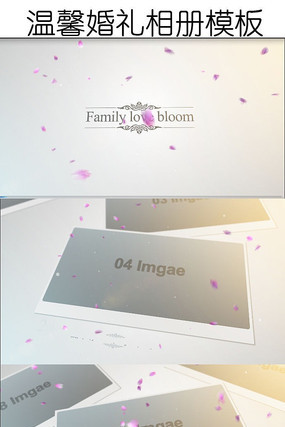 ������ܰ���������Ƶģ��