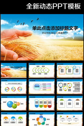 ũҵֽũҵն̬PPT pptx