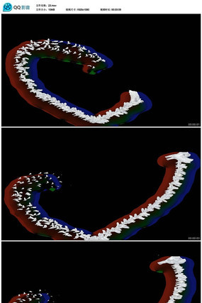 ����������Ƶ