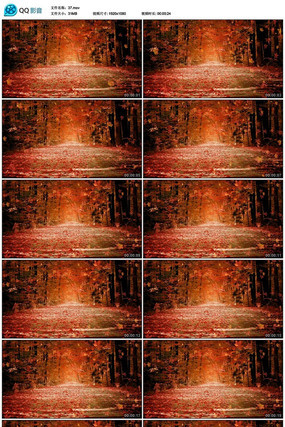 Ψ��������Ҷ��Ƶ�ز�