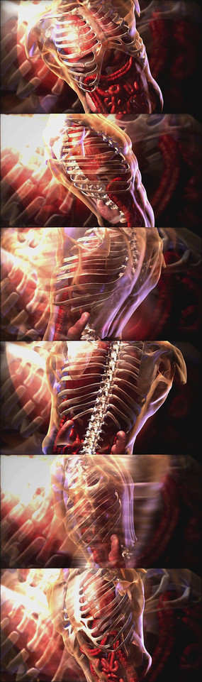 ҽѧ��-�����ڹ������������ٵ���Ƶ�ز�