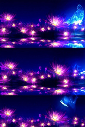 Ψ����ӫ�������Ƶ�ز� mov