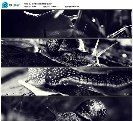 ��ţ��дʵ����Ƶ�ز�