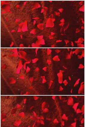 ��ɫ������Ƶ���� mov