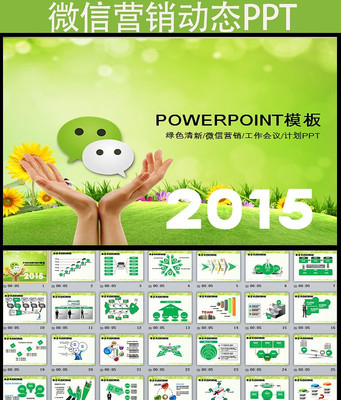 绿色清新微信网络营销产品介绍PPT模板 pptx