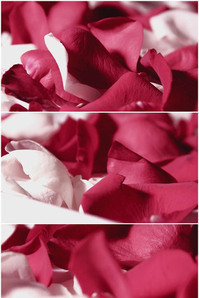 õ�廨����Ƶ���� mov