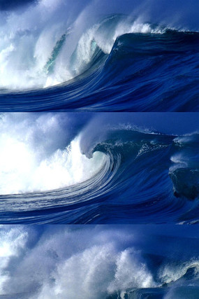 ��ӿ���Ⱥ�����Ƶ���� mov