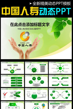 �й��˱�����