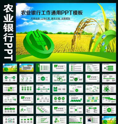 �й�ũҵ���н������ƹ����ƻ�PPT pptx