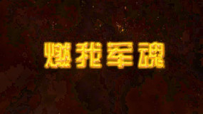 ȼ�Ҿ�������ҵ����Ƭ������ƵAEģ��