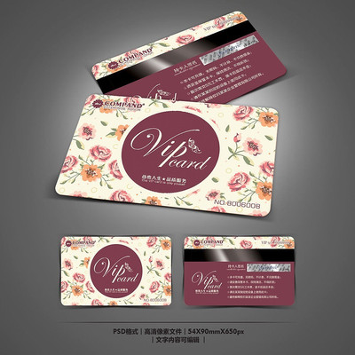 Ů�Ի�������VIP��Ա�� PSD