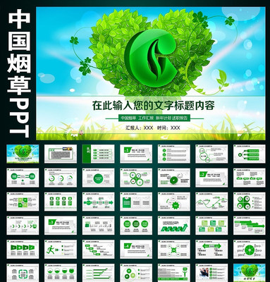 �й��̲�ר����˾PPT