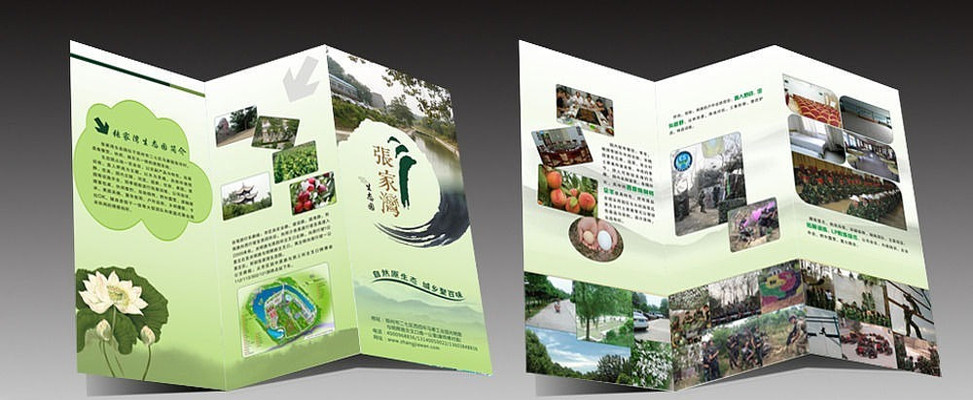 ��̬԰����