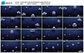 �ˮĸ��̬������Ƶ