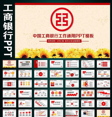 �й��������н�������PPT pptx