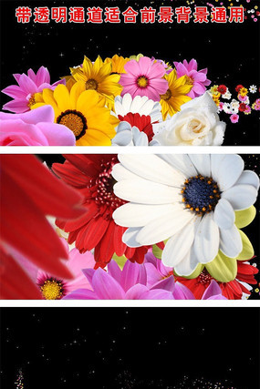 ��͸��ͨ��ǰ������Ʈ���ɻ�ǰ��װ����Ƶ�ز� mov