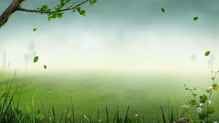 ������Ҷ�ͷ���Ƶ�ز� mov