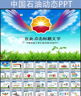 ŷйʯȻŹ˾PPTģ pptx