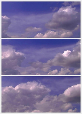 �߿��Ʋ��˶���Ƶ