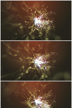 ����������Ƶ�ز�