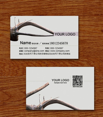 ������Ƭ