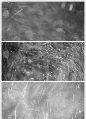 ��˿������Ƶ�ز�