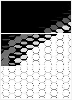 �ڰױ任��Ƶ�ز�