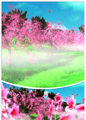 ������Ƶ�ز� mov